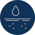Hydrates and Softens Skin
