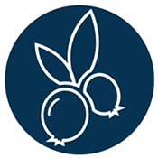 Bilberry