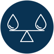 Rebalances Oily Skin
